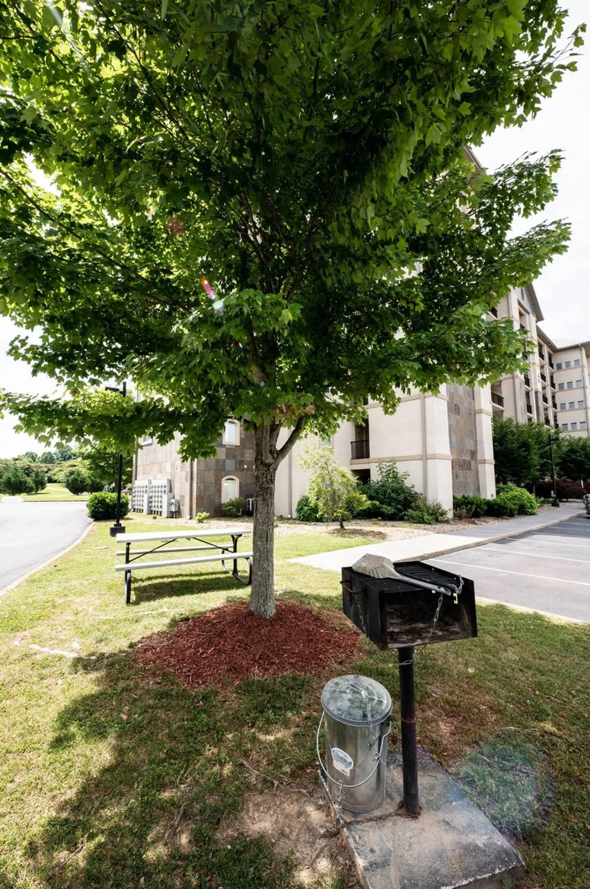 An outdoor area features a large tree casting shade over a picnic table and a BBQ grill, inviting guests to gather for alfresco meals or socializing in a relaxed, communal setting.
